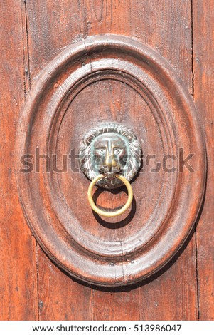 Photo Picture of lion's head on an wooden door
