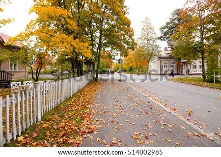 Autumn leaves on walkway in old museum district of Kouvola, Finland. Royalty-Free Stock Photo #514002985