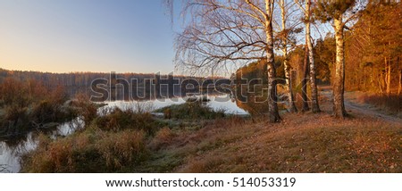 Picture of forest lake with the frosty autumnal morning with the birches and fallen leaves under them