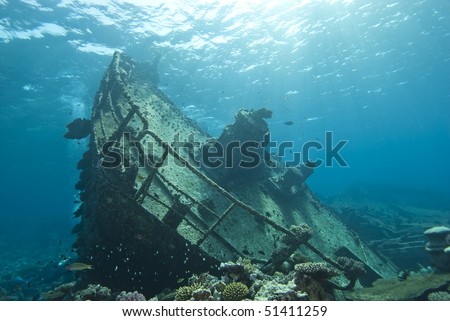 Shipwreck of the Kormoran with the bow and upper deck clearly visible. Sharm el Sheikh, Red Sea, Egypt. Royalty-Free Stock Photo #51411259