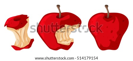 Fresh apple and rotten apple illustration