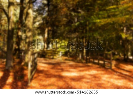 Woodland scene with autumn leaves in yellow and brown Out of focus.