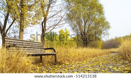Bench in autumn Park