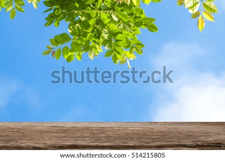 Selected focus empty brown wooden table and over blue sky and branch background, for product display montage  spring season.