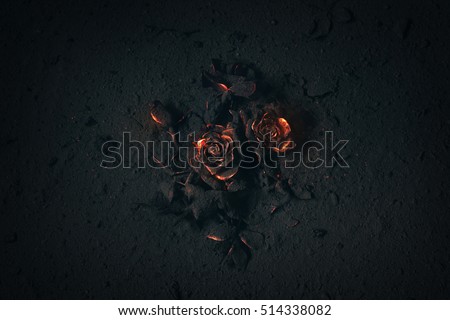A rose buried in ashes with glowing embers. Royalty-Free Stock Photo #514338082