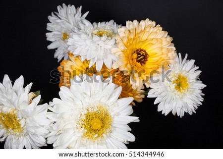bouquet of an aster and calendula