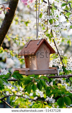  Bird house in the spring garden Royalty-Free Stock Photo #51437128
