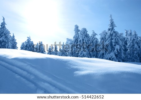 Winter in Carpathians. Mountain landscape .