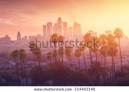 Los Angeles hot sunset view with palm tree and downtown in background. California, USA theme - background. Art photography Royalty-Free Stock Photo #514443148