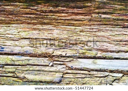 old grey wood textured for abstract bacground