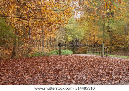 Wooden fence in the forest in autumn