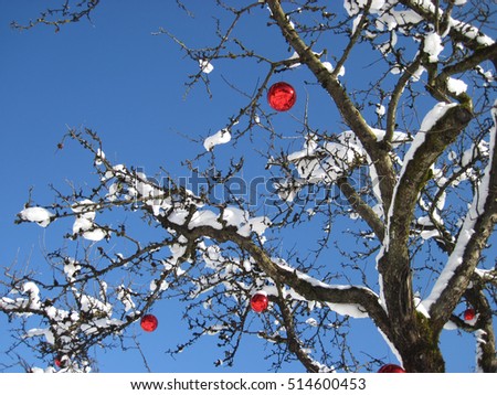 Outdoor decorated Christmas tree with with red Xmas baubles against a blue sky background