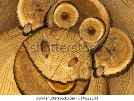 Image of monkey made of cut down a tree.