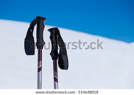 Trekking poles 