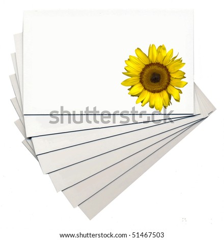 sunflower on cards