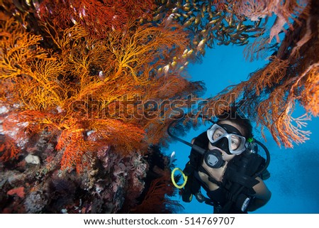 Scuba girl diving at the colourful coral reef