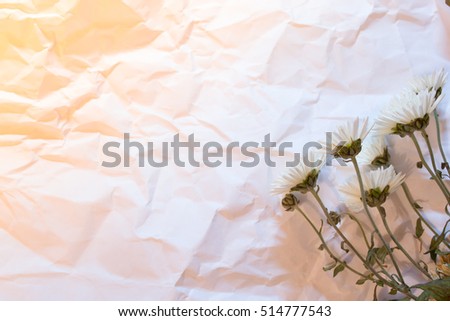 flower on a crumpled sheet of paper