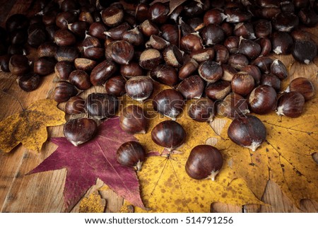 Pile of chestnuts on maple leaves