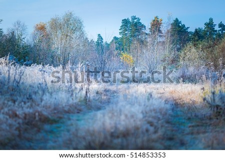 Beautiful frosty morning in countryside. Early winter landscape with frosted plants.