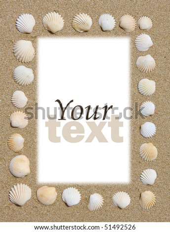 sea holiday sand and shells background