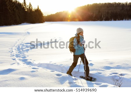 Winter sport activity. Woman hiker hiking with backpack and snowshoes snowshoeing on snow trail forest in Quebec, Canada at sunset. Beautiful landscape with coniferous trees and white snow. Royalty-Free Stock Photo #514939690