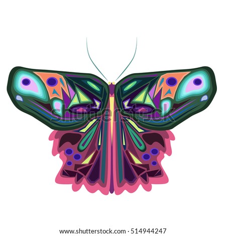 Colorful isolated butterfly, vector illustration