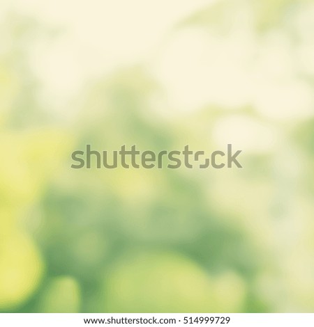 Abstract blurred color from nature background.can be use for wallpaper or backdrop or webdesign