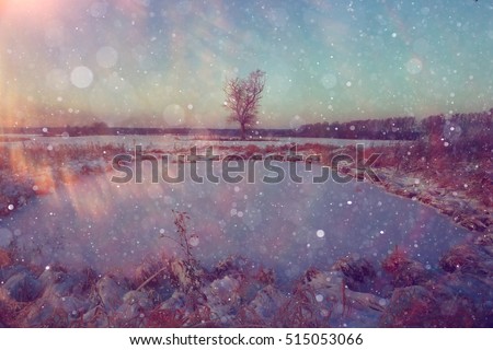 amazing winter landscape at sunset in forest