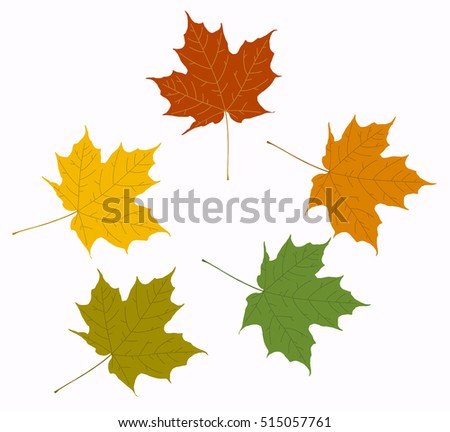 Maple leaf, autumn mood, vector