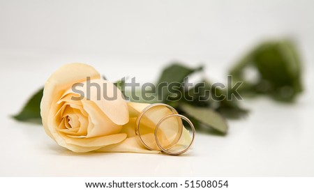 Yellow roses and weddings rings over white