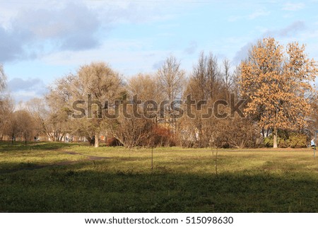 Autumn park trees bare