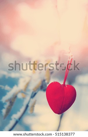 Decorative velvet red heart on snow-covered fir branch.Valentine Day card. Winter holidays. Valentines theme. instagram toning effect