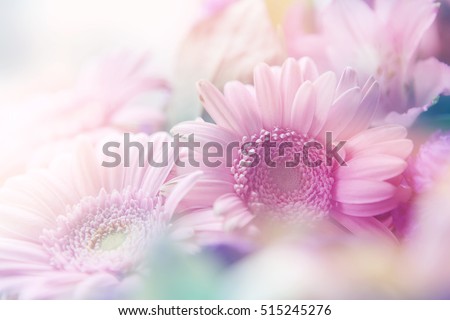 beautiful flowers made with color filters

