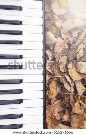 accordion keyboard and autumn leaves