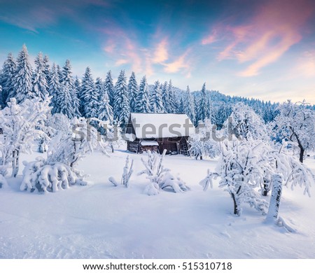 Picturesque winter sunrise in Carpathian village with snow cowered trees. Colorful outdoor scene, Happy New Year celebration concept. Artistic style post processed photo.
