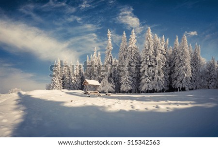 Winter morning after heavy snowfall in the mountain forest. Frosty outdoor view, Happy New Year celebration concept. Artistic style post processed photo.