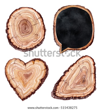 watercolor illustration, tree, wood slice, nature clip art elements, isolated on white background