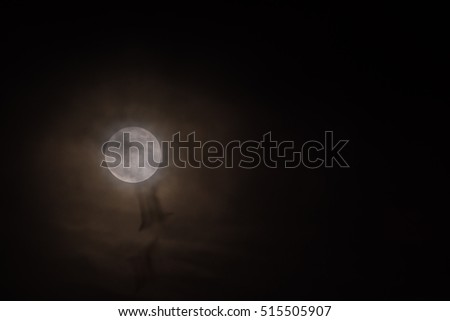 smeared silhouettes of flying birds with a rare full moon in the background