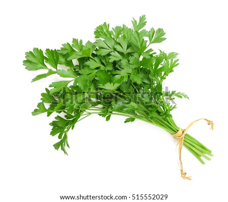 parsley bunch tied with ribbon isolated on white background Royalty-Free Stock Photo #515552029