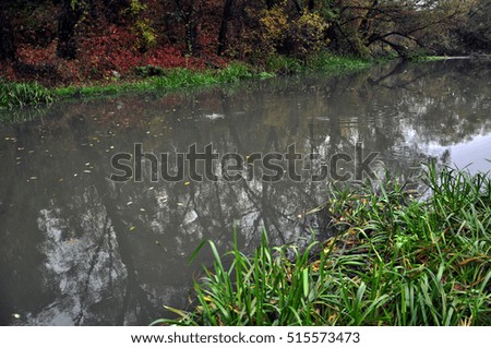 Autumn Landscape with trees, small river reeds and reflection in water
