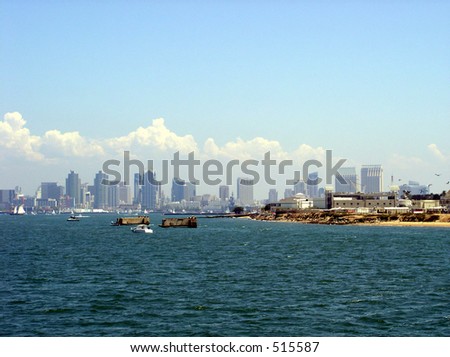 san diego skyline from the harbor in the summer