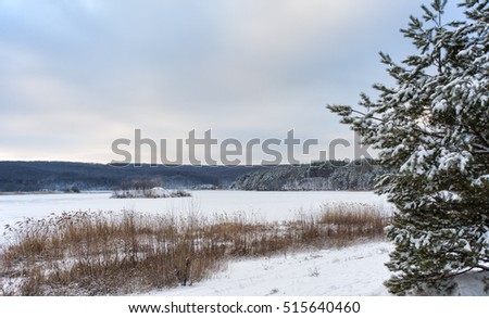 Snowy pond with Trees in snow