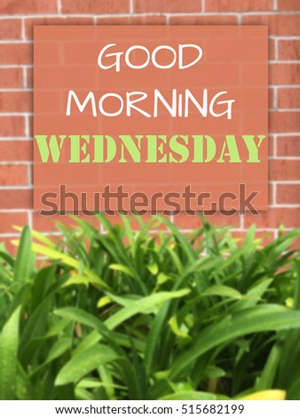 "good morning wednesday"Inspirational quote on blurred background.