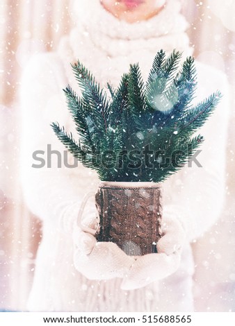 Woman holding knitted cup with nice Christmas firtree bouquet close up on light background with snowfall. Hands in woolen gloves holding a cozy mug with Christmas decoration. Winter concept.