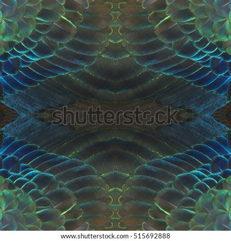 Beautiful abstract background consisting of peacock feathers