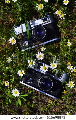 An old photo cameras from mid of 20th century in green field of daises and green grass