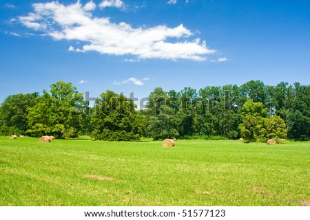 Photo of a haycocks on the field with blue sky