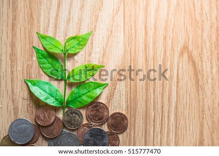 Plant Growing In Savings Coins on wooden background- Investment And Interest Concept. Money growing concept,Business success concept,Trees growing on pile of coins money