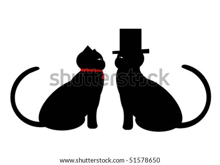 elegant cats