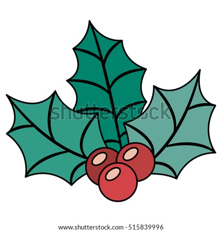 Berry and leaves of Christmas season design